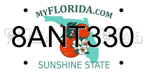 8ANT330 Florida License Plate