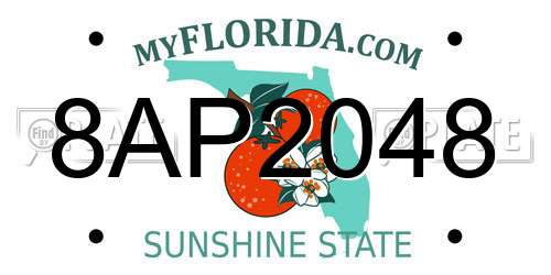 8AP2048 Florida License Plate