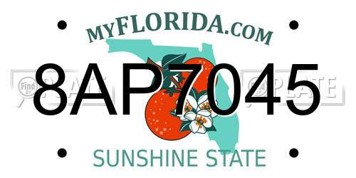 8AP7045 Florida License Plate