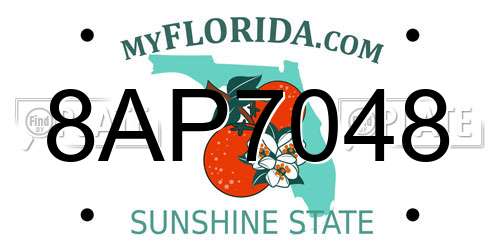8AP7048 Florida License Plate