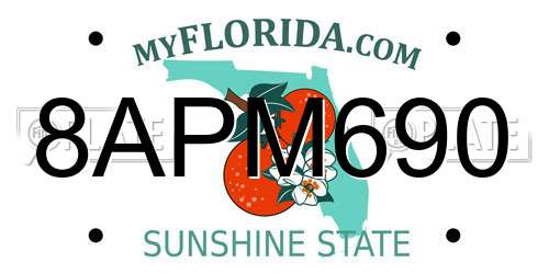 8APM690 Florida License Plate