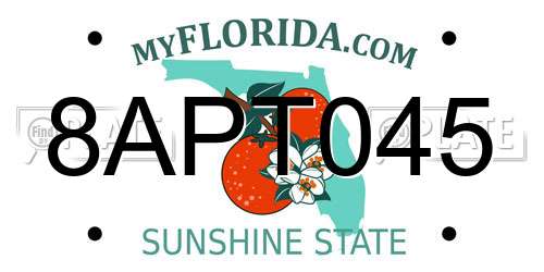 8APT045 Florida License Plate