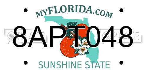 8APT048 Florida License Plate