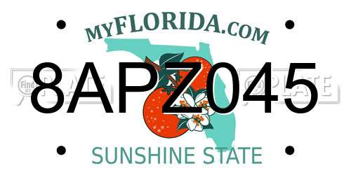8APZ045 Florida License Plate