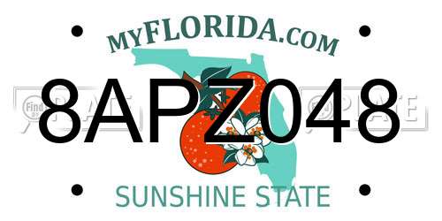 8APZ048 Florida License Plate