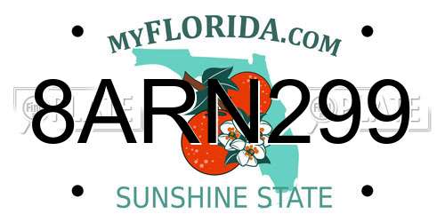 8ARN299 Florida License Plate