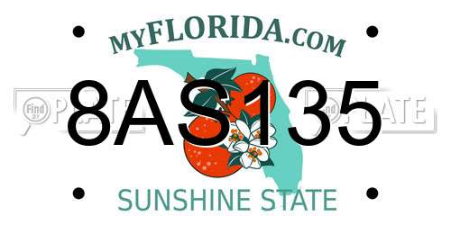 8AS135 Florida License Plate