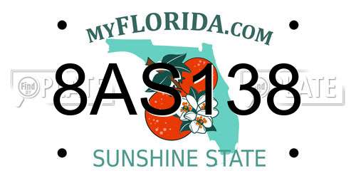 8AS138 Florida License Plate