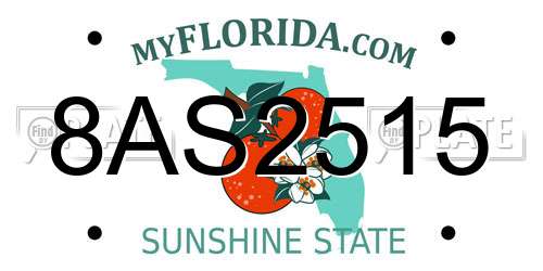 8AS2515 Florida License Plate