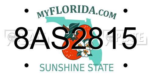 8AS2815 Florida License Plate