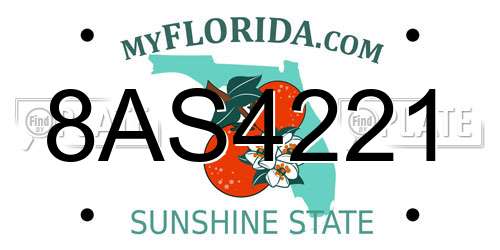 8AS4221 Florida License Plate