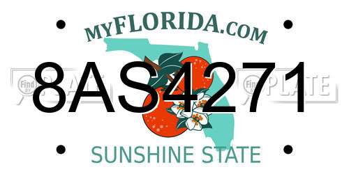 8AS4271 Florida License Plate