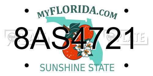 8AS4721 Florida License Plate