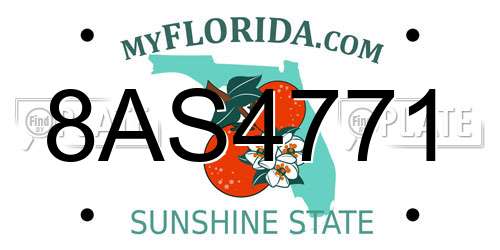 8AS4771 Florida License Plate