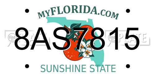 8AS7815 Florida License Plate