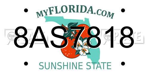 8AS7818 Florida License Plate