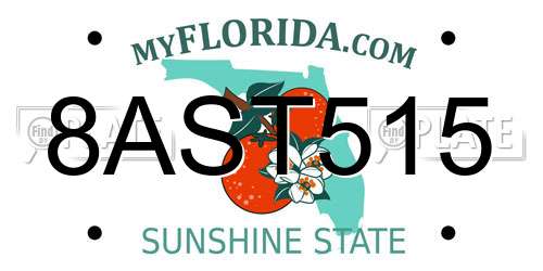 8AST515 Florida License Plate