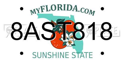 8AST818 Florida License Plate
