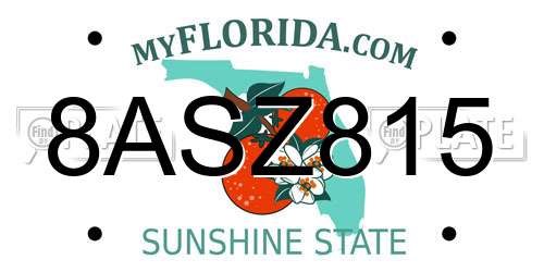 8ASZ815 Florida License Plate