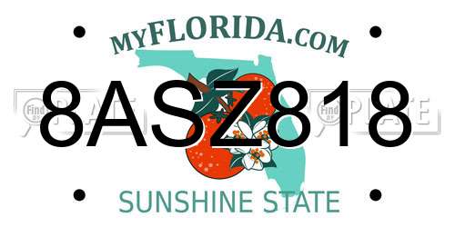 8ASZ818 Florida License Plate