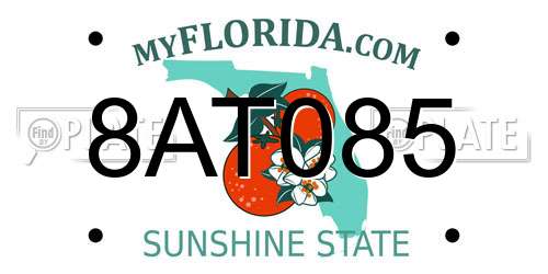 8AT085 Florida License Plate