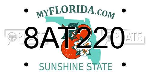 8AT220 Florida License Plate