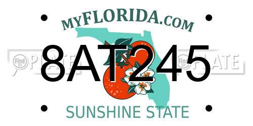 8AT245 Florida License Plate
