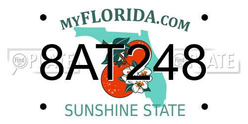 8AT248 Florida License Plate