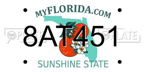 8AT451 Florida License Plate