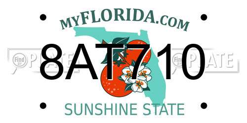 8AT710 Florida License Plate