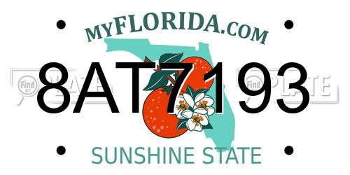 8AT7193 Florida License Plate
