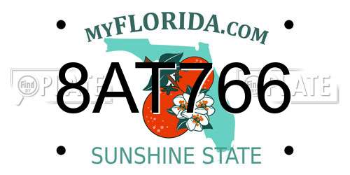 8AT766 Florida License Plate