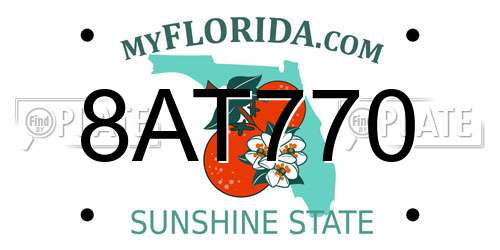 8AT770 Florida License Plate