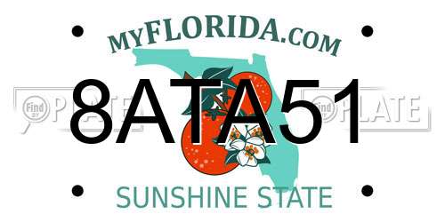 8ATA51 Florida License Plate