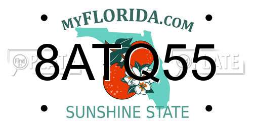 8ATQ55 Florida License Plate