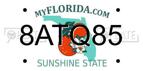 8ATQ85 Florida License Plate