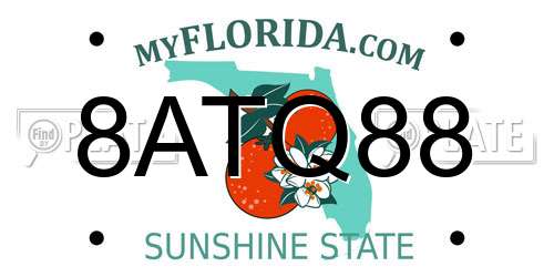 8ATQ88 Florida License Plate