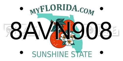 8AVN908 Florida License Plate