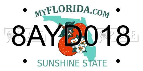 8AYD018 Florida License Plate