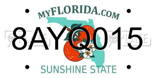8AYQ015 Florida License Plate