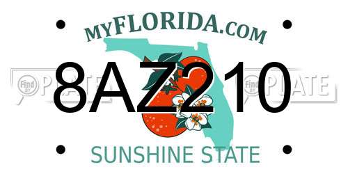 8AZ210 Florida License Plate