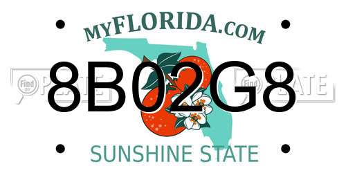 8B02G8 Florida License Plate