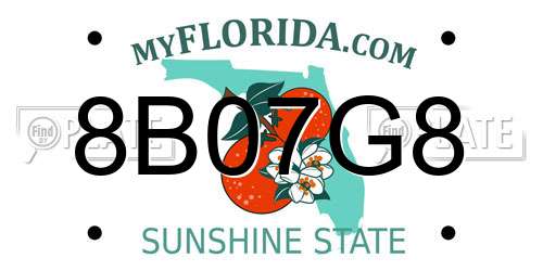 8B07G8 Florida License Plate