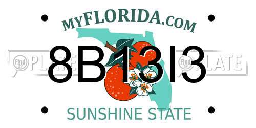 8B13I3 Florida License Plate