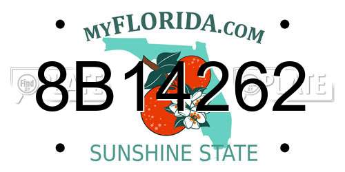 8B14262 Florida License Plate