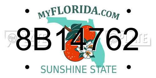 8B14762 Florida License Plate