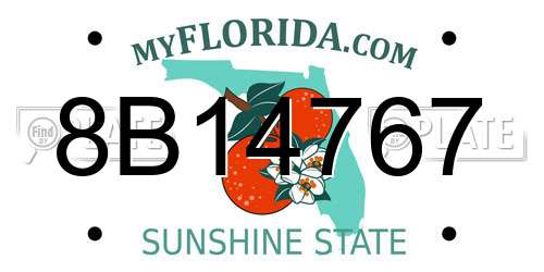 8B14767 Florida License Plate