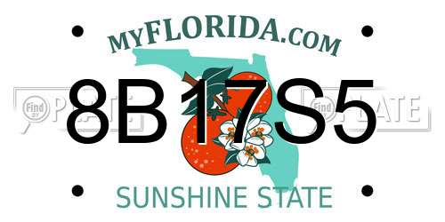 8B17S5 Florida License Plate