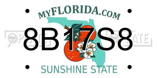 8B17S8 Florida License Plate