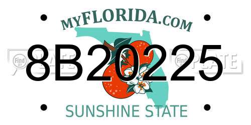8B20225 Florida License Plate